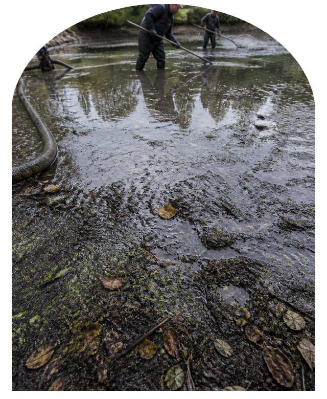 Очистка пруда в Коркине от ила мусора и водорослей с вывозом